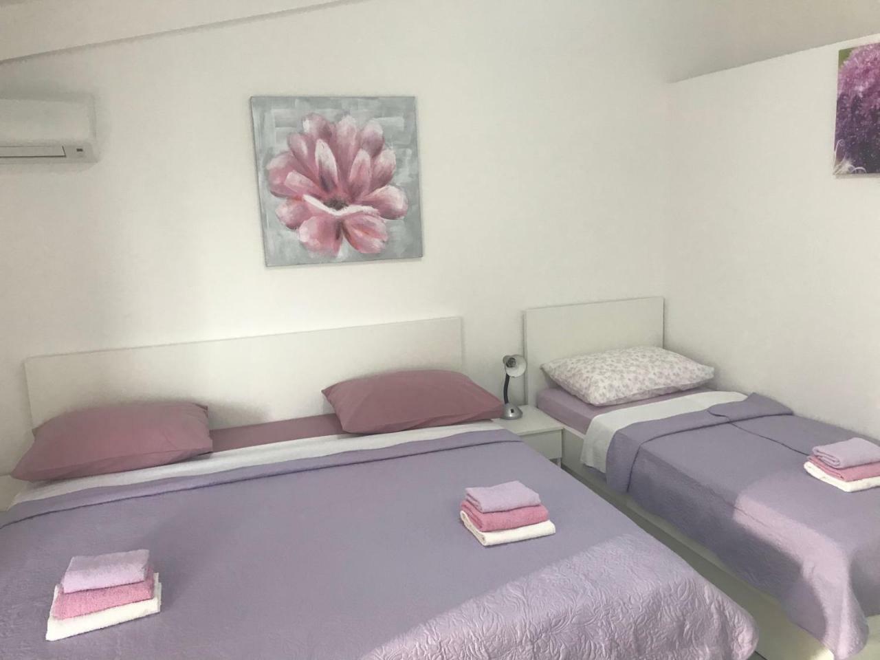 Apartman Veronika Apartment สตารีกราด-ปาเคลนีซา ภายนอก รูปภาพ