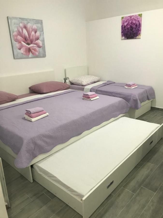 Apartman Veronika สตารีกราด-ปาเคลนีซา ภายนอก รูปภาพ